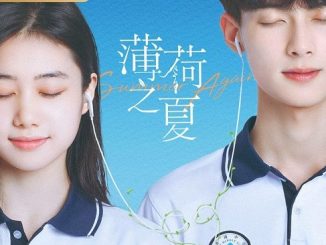 Download Drama China Summer Again Subtitle Indonesia